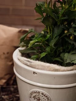 Hortiwool ®, 5 Pad Pack -Garden Tools Store 8613263 17v