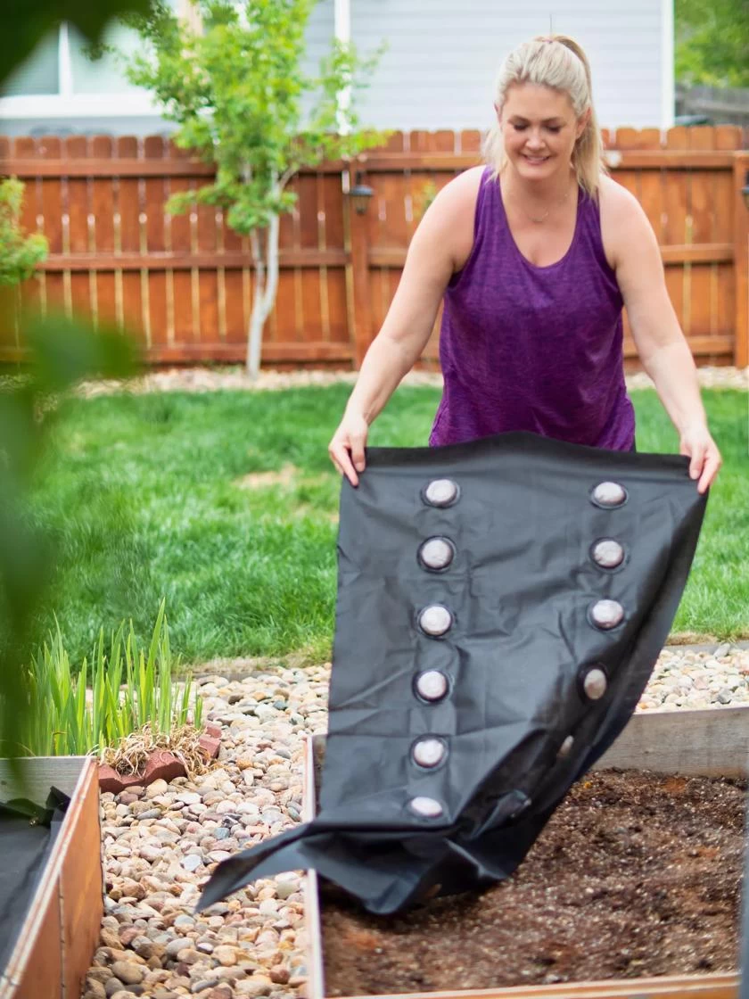 SeedSheets Organic Vegetable Garden, Easy Breezy Caprese, 4' X 8' 6 SeedSheets Organic Vegetable Garden, Easy Breezy Caprese, 4' X 8' - Image 5