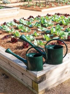 Long Reach Watering Can, Large 12 Long Reach Watering Can, Large -Garden Tools Store 8613346 0148 1