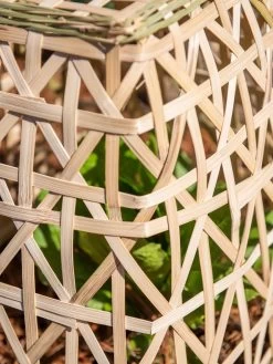 Bamboo Cloche, Set Of 2 -Garden Tools Store 8613351 0153