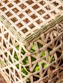 Bamboo Cloche, Set Of 2 -Garden Tools Store 8613351 0154