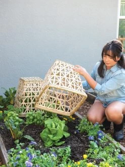 Bamboo Cloche, Set Of 2 -Garden Tools Store 8613351 6862