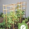 Bamboo Tomato Cages, Set Of 3 1 Bamboo Tomato Cages, Set Of 3 -Garden Tools Store 8613426 7