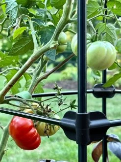 Oasis Self-Watering Tomato Planter With Trellis -Garden Tools Store 8613440 01TEST