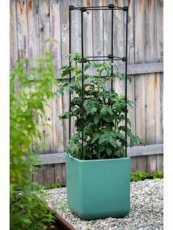Oasis Self-Watering Tomato Planter With Trellis -Garden Tools Store 8613440 0373 3 4