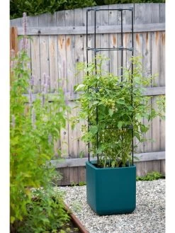 Oasis Self-Watering Tomato Planter With Trellis -Garden Tools Store 8613440 0376 3 4 2