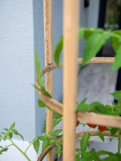 Elevated Bamboo Tomato Planter And Trellis -Garden Tools Store 8613502 0423
