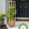 Elevated Bamboo Tomato Planter And Trellis 1 Elevated Bamboo Tomato Planter And Trellis -Garden Tools Store 8613502 13