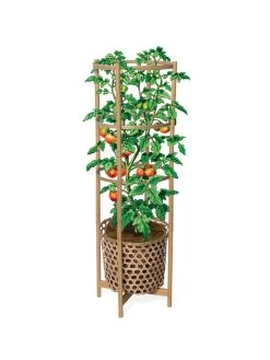Elevated Bamboo Tomato Planter And Trellis -Garden Tools Store 8613502 art flat