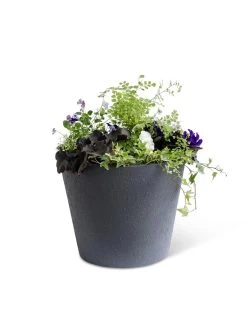 Self-Watering FiberStone Planters 20 Self-Watering FiberStone Planters -Garden Tools Store 8613676 8645