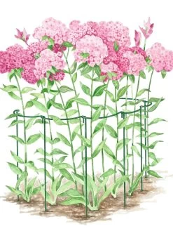 Curved Linking Stakes -Garden Tools Store GS35241 02S tif