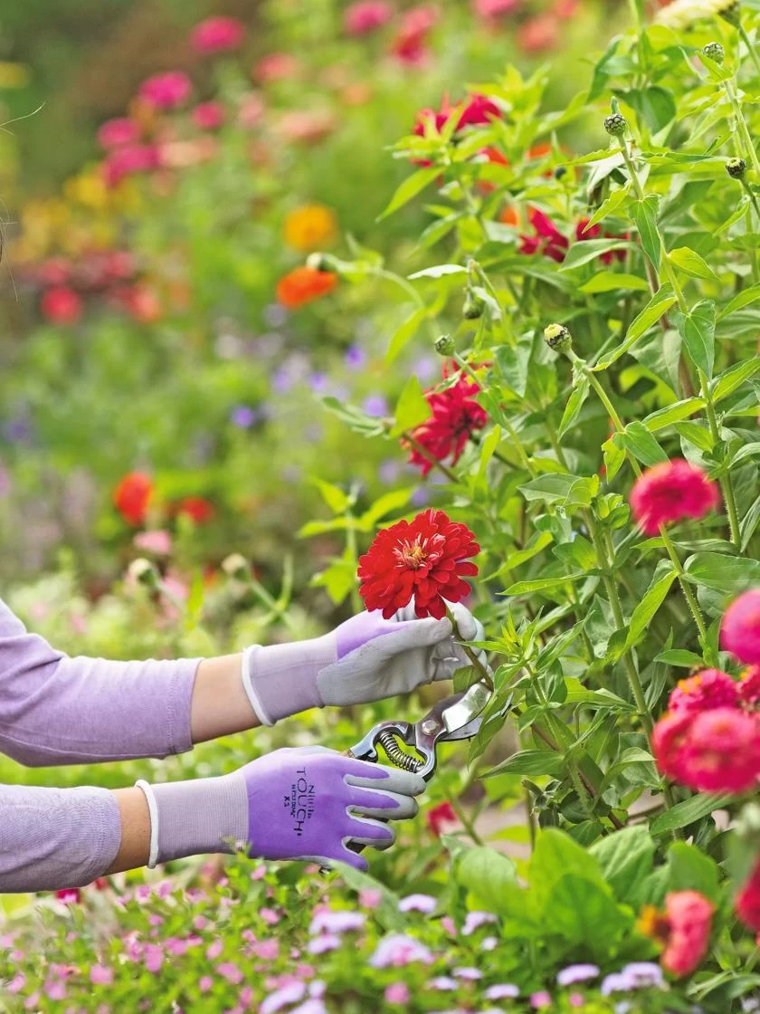 Nitrile Gloves 4 Nitrile Gloves - Image 2