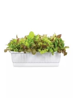 31" Self-Watering Window Box 7 31" Self-Watering Window Box -Garden Tools Store GS36523 01Z 3 4