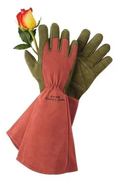 Rose Gloves -Garden Tools Store GS36874 01Z tif