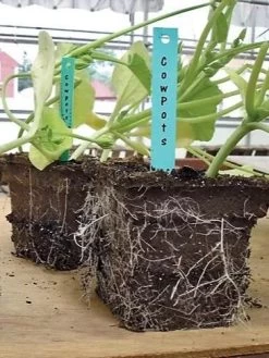 2-3/4" Square Cowpots 6-Packs, Set Of 4 -Garden Tools Store GS37034 05