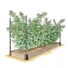 Raspberry Bed -Garden Tools Store GS39389 01S 1