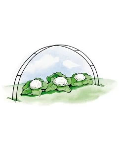 Super Hoops, Set Of 6 -Garden Tools Store GS39423 02S 3 4