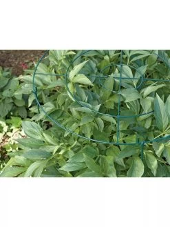 Grow Through Supports, Set Of 3 9 Grow Through Supports, Set Of 3 -Garden Tools Store GS40172 01 1