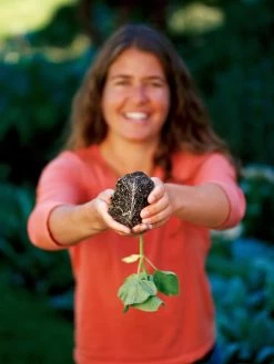 Deep Root Seedstarting System, Black -Garden Tools Store GSCOVSPR06D2 01