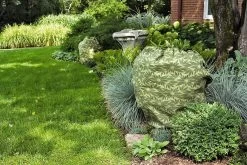 ShrubJacket Covers 9 ShrubJacket Covers -Garden Tools Store gs39166 02