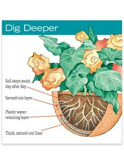 AquaSav™ Replacement Liners, Set Of 3 8 AquaSav™ Replacement Liners, Set Of 3 -Garden Tools Store hiw 38 583