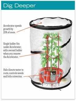 Tomato TLC Kits, Set Of 3 -Garden Tools Store hiw 8594214 jpg